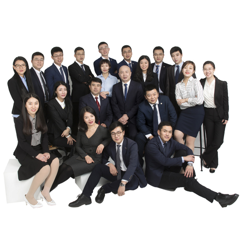 律师团队